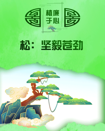 植廉于心丨松：坚毅苍劲