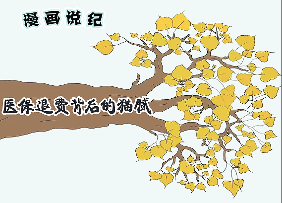 漫画说纪丨医保退费背后的猫腻