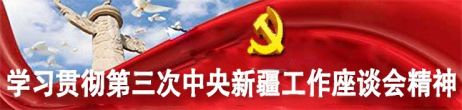 新疆座谈会