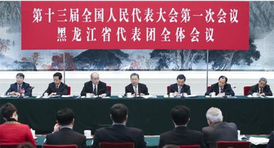 赵乐际参加黑龙江代表团审议